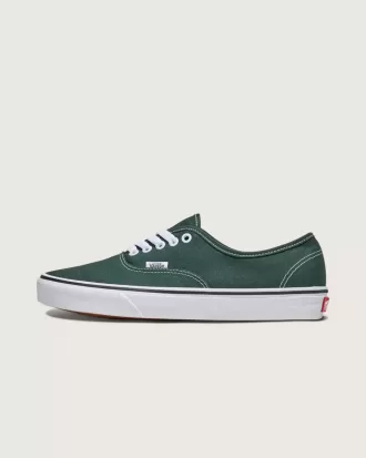Authentischer Schuh