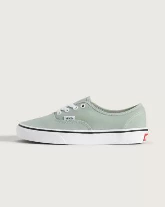 Authentischer Schuh