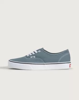 Authentischer Schuh