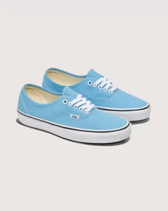 Authentischer Schuh