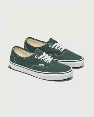 Authentischer Schuh
