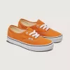 Authentischer Schuh
