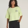 Großes Zypressen-T-Shirt