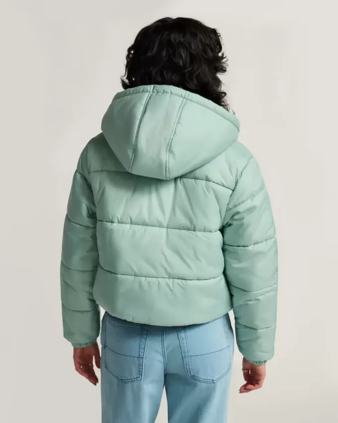 Kurze Pufferjacke Hillgate Kurze Pufferjacke Hillgate