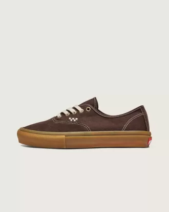 Skate Authentic Schuh