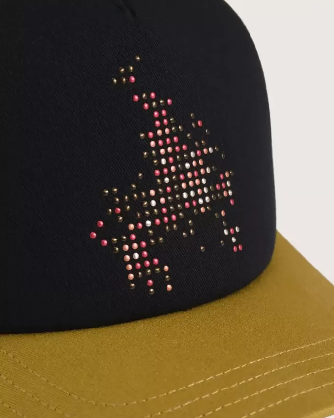 Skate Flame Trucker Cap Skate Flame Trucker Cap